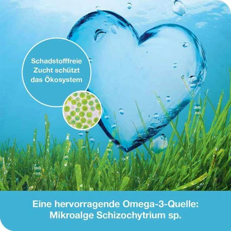 OMEGA3-Loges plantaardige capsules, 2 x 120 capsules