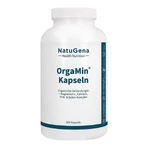 Orgamin-capsules, 300 capsules