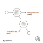 Capsule di bisglicinato di magnesio + vitamina B6, 240 capsule