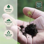 Allgäu Mountain Pine Rub, 1000 ml Solution