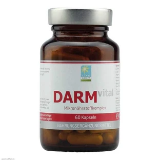 Gélules Intestinal Vital, 120 gélules