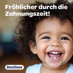 Dentinox Gel with Teething Relief, 10 g Gel