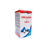 Collagène + Vitamine C, 70 gélules, Favisan