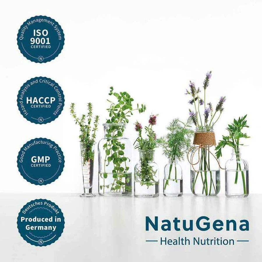 Ginseng rojo Panax con un 20 % de ginsenósidos, cápsulas veganas, 90 cápsulas