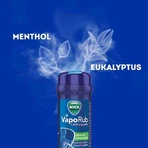 WICK VapoRub verkoudheidszalf in een applicator, 2 x 35 g zalf