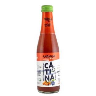 Organic Sea Buckthorn Nectar with Blueberries, 250 ml, Katinola