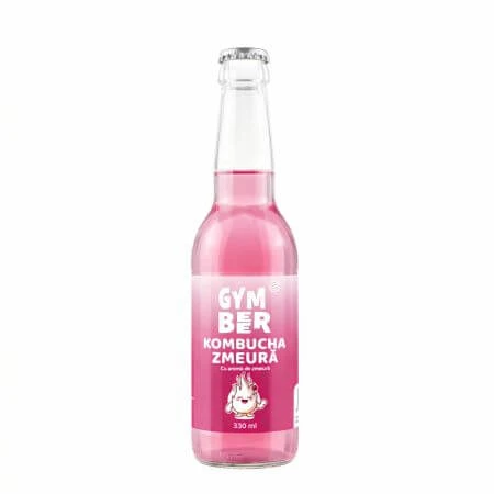 Kombucha met frambozensmaak, 330 ml, Rayam