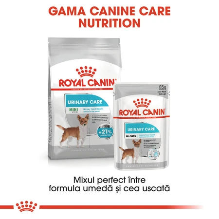 ROYAL CANIN Mini Urinary Care, croquettes pour chiens, santé des voies urinaires, 1 kg