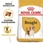 ROYAL CANIN Beagle Adult, sucha karma dla psów, 3 kg: ceny i cechy