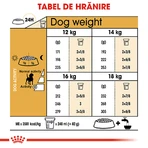 ROYAL CANIN Beagle Adult, sucha karma dla psów, 3 kg: ceny i cechy