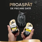 SHEBA Perfect Portions, kurczak, mokra karma dla kotów w tackach (pasztet), opakowanie zbiorcze, 37,5 g × 6: ceny i cechy