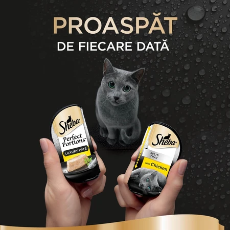 SHEBA Perfect Portions, kurczak, mokra karma dla kotów w tackach (pasztet), opakowanie zbiorcze, 37,5 g × 6: ceny i cechy