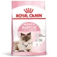 ROYAL CANIN Mother & BabyCat, croquettes pour chattes allaitantes et chatons, 2 kg