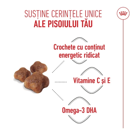 ROYAL CANIN Mother & BabyCat, croquettes pour chattes allaitantes et chatons, 2 kg