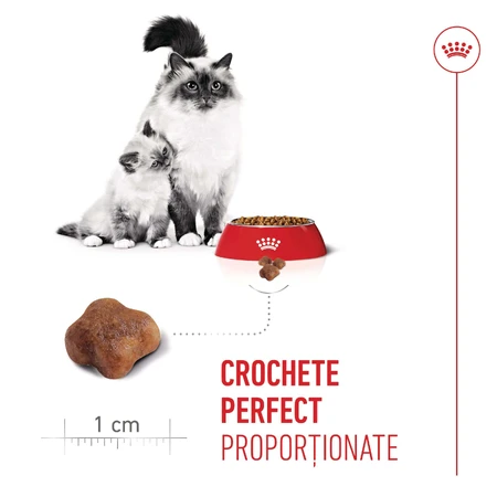 ROYAL CANIN Mother & BabyCat, croquettes pour chattes allaitantes et chatons, 2 kg