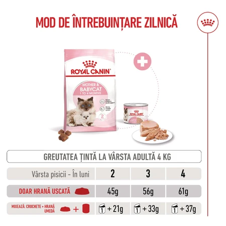 ROYAL CANIN Mother & BabyCat, croquettes pour chattes allaitantes et chatons, 2 kg