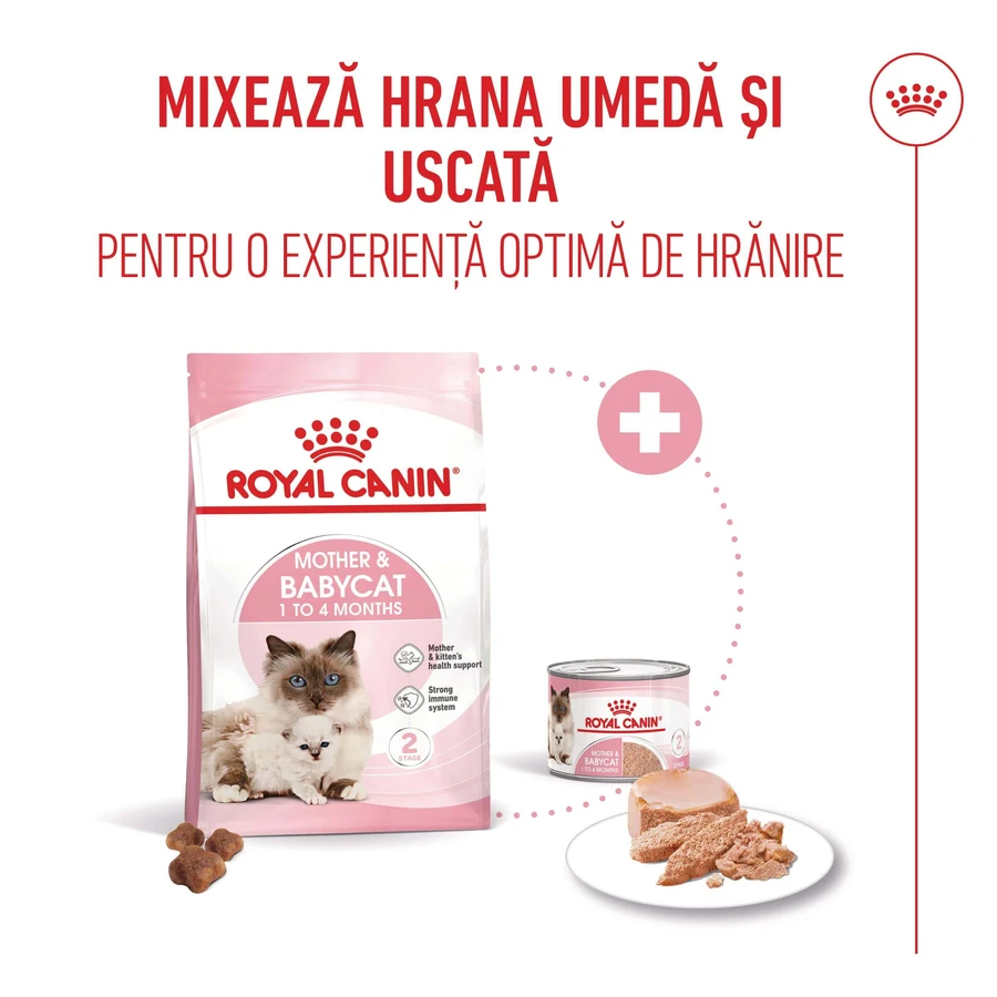 ROYAL CANIN Mother & BabyCat, croquettes pour chattes allaitantes et chatons, 2 kg