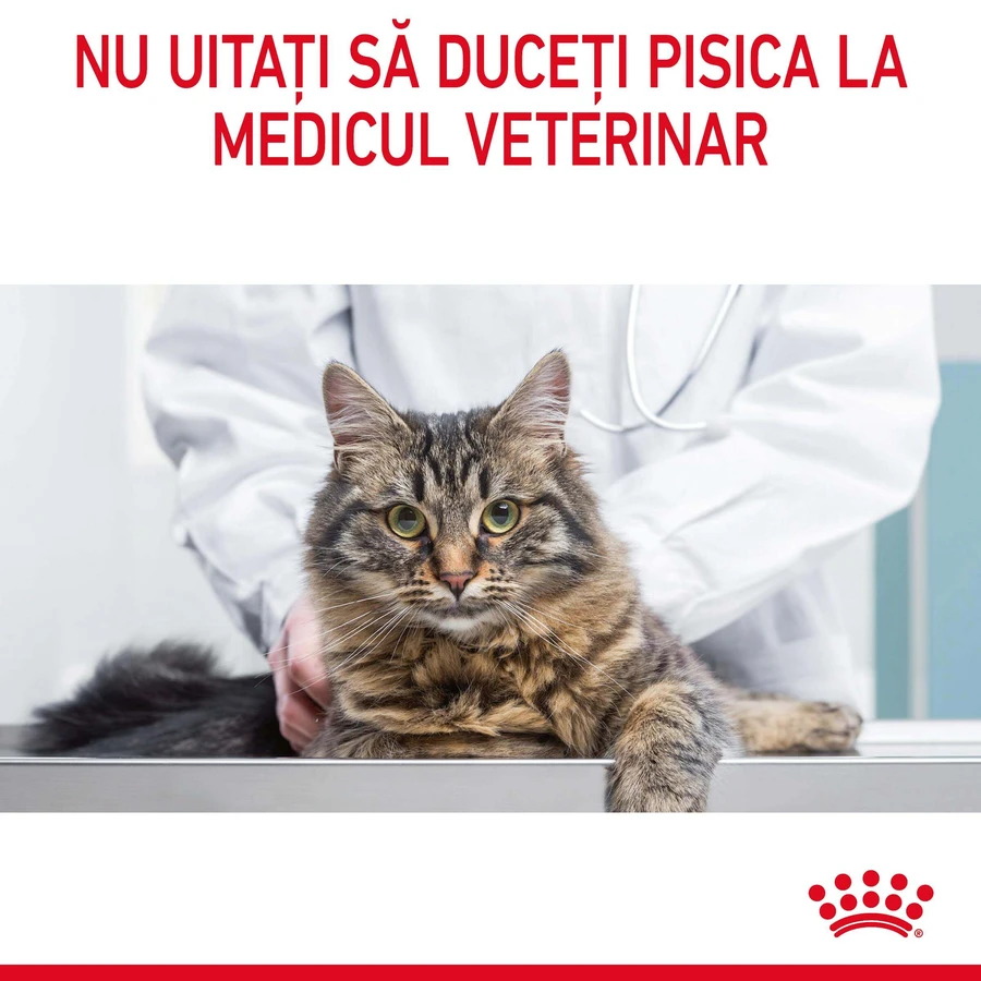 ROYAL CANIN Light Weight Care - Alimento secco per gatti adulti per il controllo del peso, 1,5 kg
