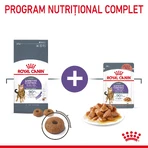 ROYAL CANIN Appetite Control Care Adult Dry Cat Food for Appetite Control, 3.5 kg