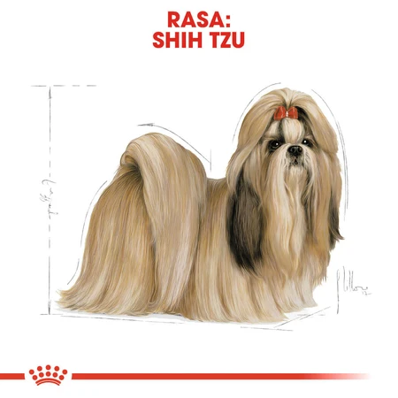ROYAL CANIN Shih Tzu Adult, droogvoer voor honden, 1,5 kg