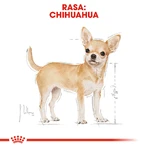 ROYAL CANIN Chihuahua Adult, pienso seco para perros, 1,5 kg