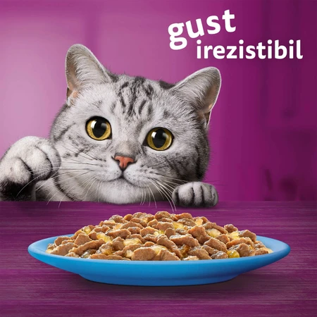 WHISKAS Selections, Pesce, Alimento umido per gatti in bustine (in gelatina), confezione multipla, 85 g x 12