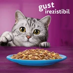 WHISKAS Selections, Pesce, Alimento umido per gatti in bustine (in gelatina), confezione multipla, 85 g x 12