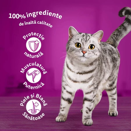 WHISKAS Selections, Pesce, Alimento umido per gatti in bustine (in gelatina), confezione multipla, 85 g x 12