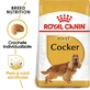 ROYAL CANIN Cocker Adult, droogvoer voor honden, 3 kg