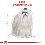 ROYAL CANIN Maltese Adult, droogvoer voor honden, 500 g