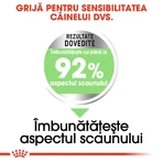 ROYAL CANIN Mini Digestive Care, sucha karma dla psów, wspomagająca trawienie, 1 kg: ceny i cechy