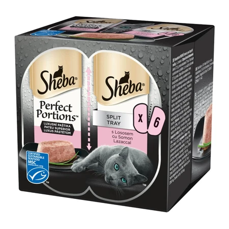 SHEBA Perfect Portions, Lachs, Nassfutter für Katzen in Portionsschalen (Pastete), Multipack, 37,5 g x 6