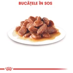 ROYAL CANIN Instinctive Adult, comida húmeda para gatos (en salsa), caja, 85 g x 12 unidades