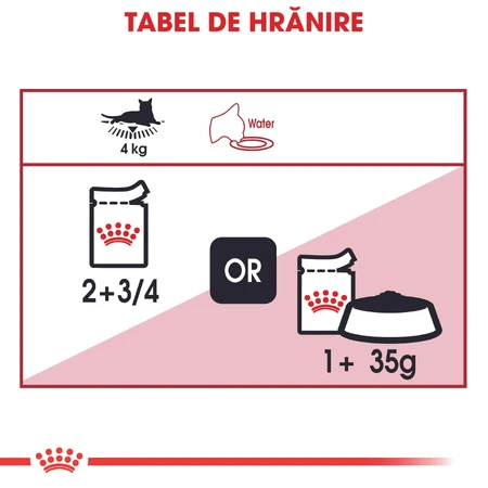 ROYAL CANIN Instinctive Adult, comida húmeda para gatos (en salsa), caja, 85 g x 12 unidades