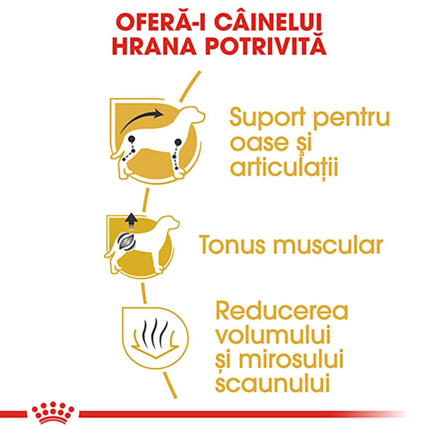 ROYAL CANIN Dachshund Adult, droogvoer voor honden, 1,5 kg