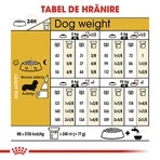 ROYAL CANIN Dachshund Adult, droogvoer voor honden, 1,5 kg