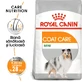 ROYAL CANIN Mini Coat Care Adult, croquettes pour chiens adultes, 3 kg