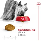 ROYAL CANIN X-Small Adult, pienso seco para perros, 500 g