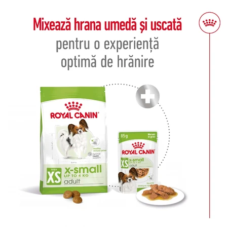 ROYAL CANIN X-Small Adult, pienso seco para perros, 500 g