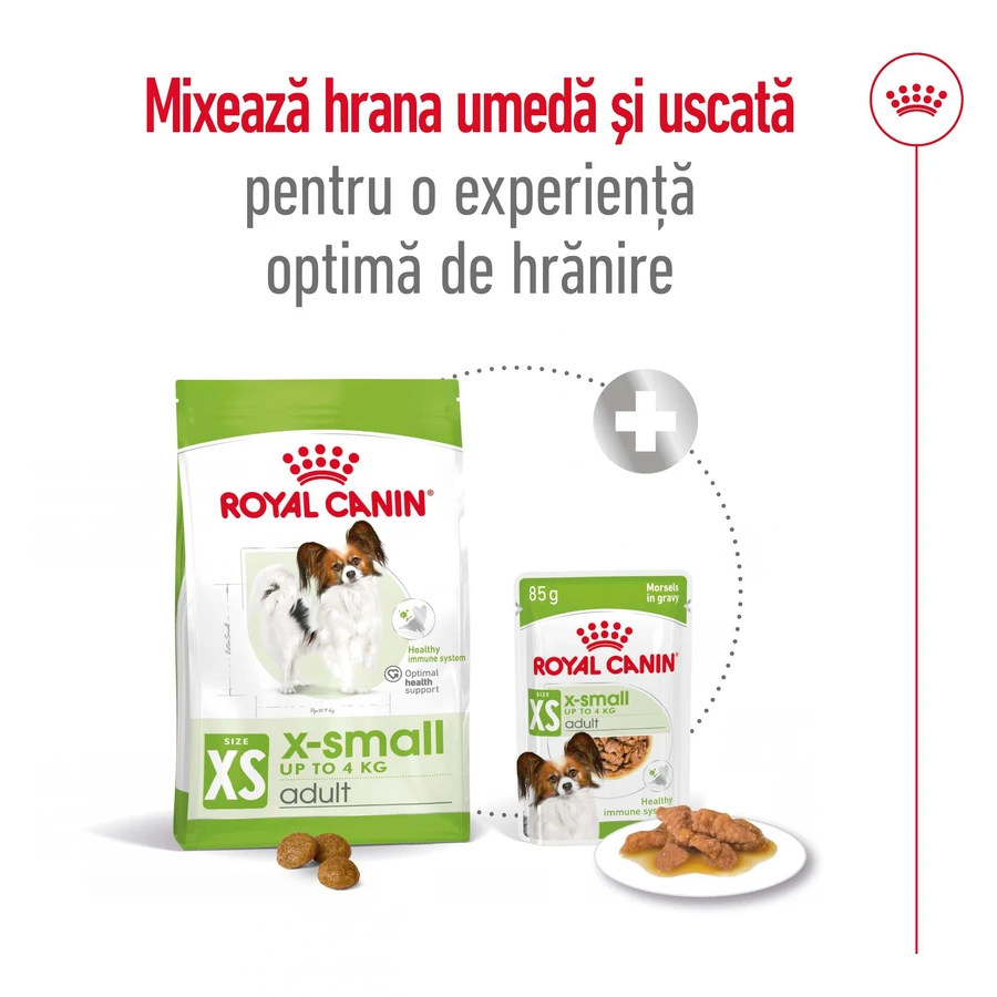 ROYAL CANIN X-Small Adult, pienso seco para perros, 500 g