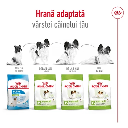 ROYAL CANIN X-Small Adult, pienso seco para perros, 500 g