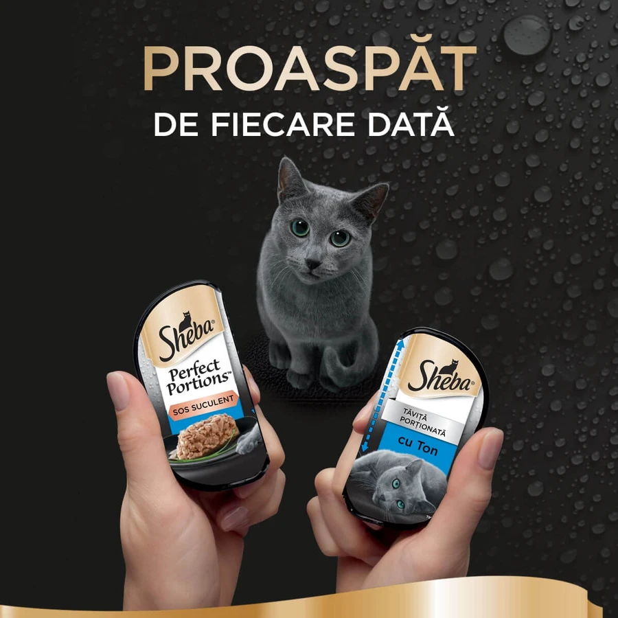 SHEBA Perfect Portions, Thunfisch, Nassfutter für Katzen in Schalen (in Soße), Multipack, 37,5 g x 6