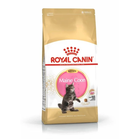 ROYAL CANIN Maine Coon Kitten, croquettes pour chatons, 2 kg