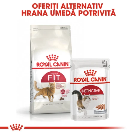 ROYAL CANIN Fit32 Adult, Trockenfutter für Katzen, bei mäßiger körperlicher Aktivität, 4 kg
