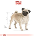 ROYAL CANIN Pug Adult, hrană uscată câini, 1.5kg