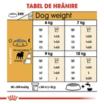 ROYAL CANIN Pug Adult, hrană uscată câini, 1.5kg