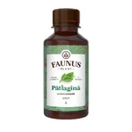 Syrop Patlagina, 200 ml, Faunus Plant: ceny i cechy