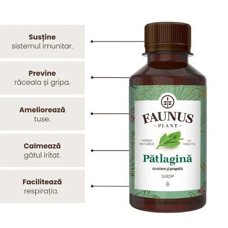 Syrop Patlagina, 200 ml, Faunus Plant: ceny i cechy