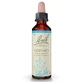 BACH-BLOESEMREMEDIE VERVAIN nr. 31 20 ml