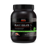 Gnc Amp Plant Isolate Vegan Protein With Strawberry And Banana Flavor, 935.2 G